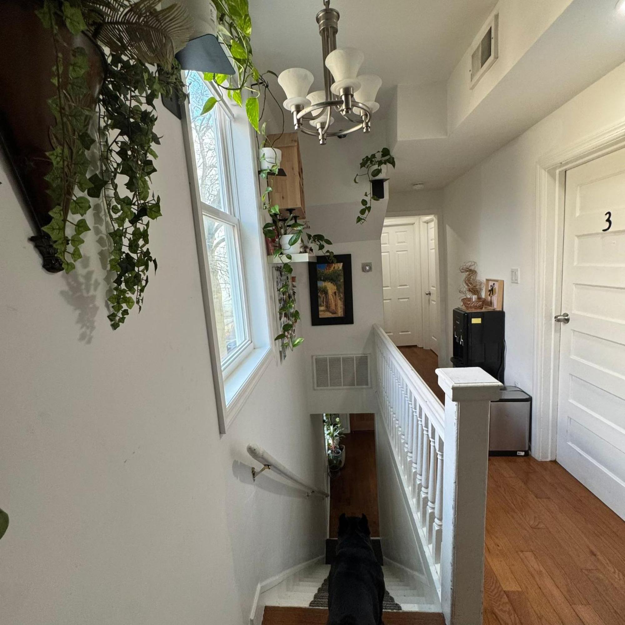 Dayton Dream Apartment Newark Bagian luar foto